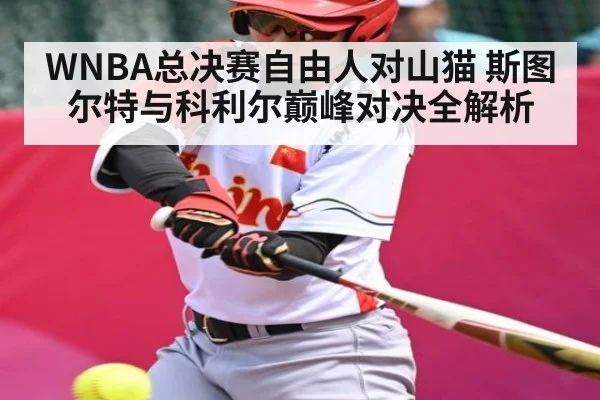 WNBA总决赛自由人对山猫 斯图尔特与科利尔巅峰对决全解析 - PG GAME